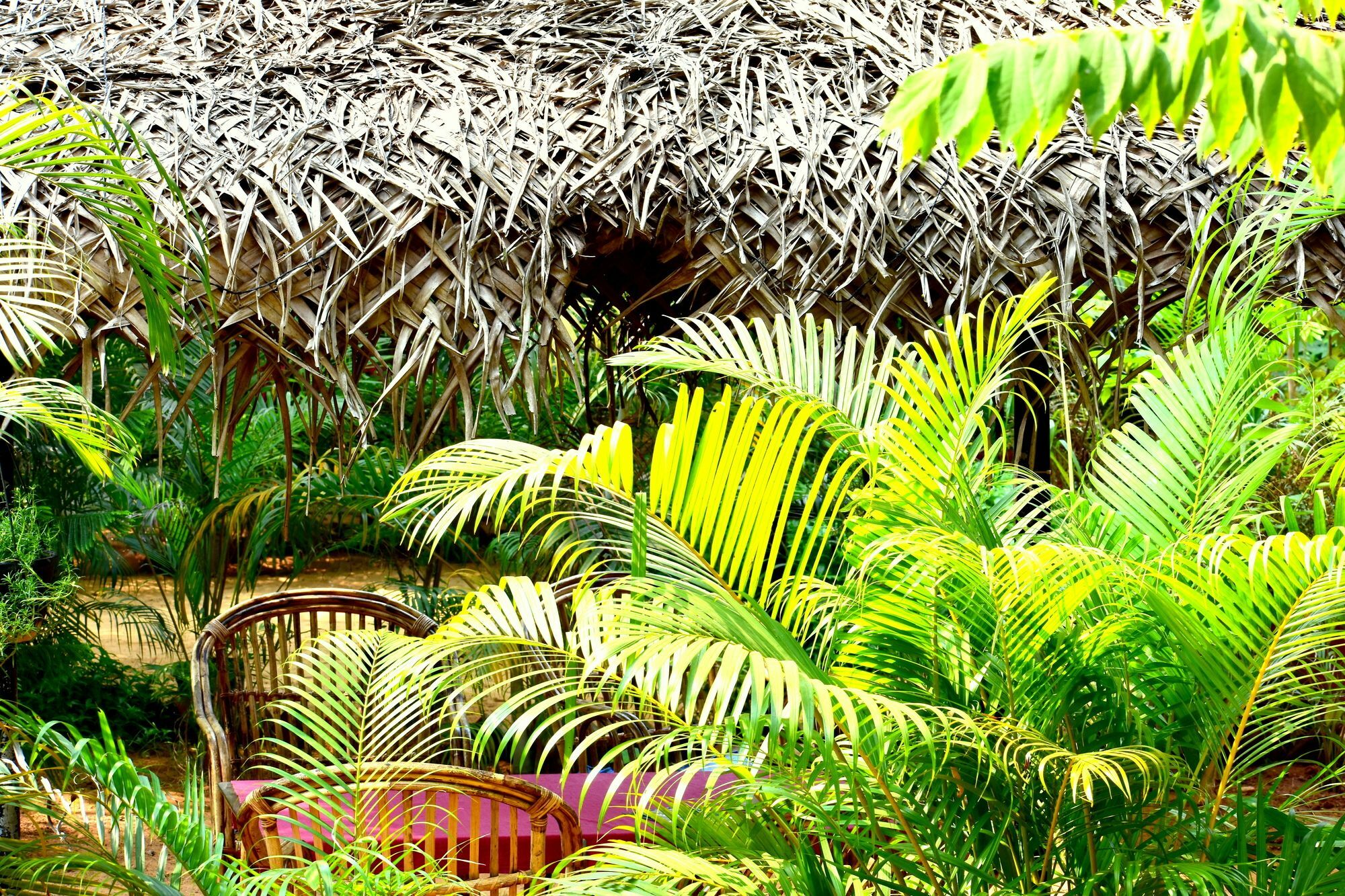 Patnem Garden Resort Patnem Beach 외부 사진